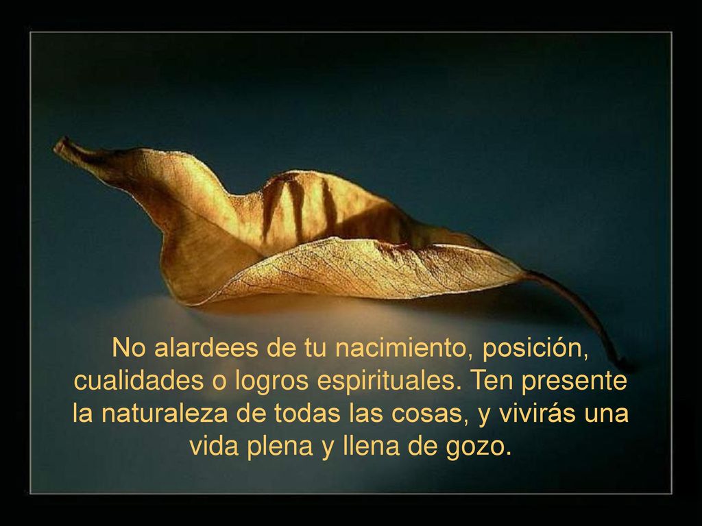 No alardees de tu nacimiento, posición, cualidades o logros espirituales.