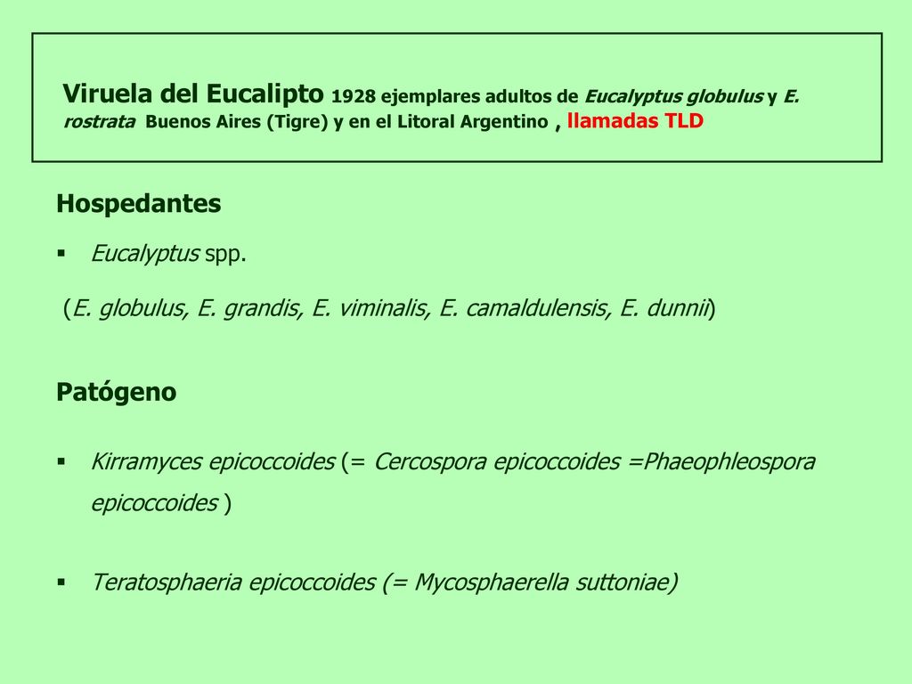 Viruela del Eucalipto 1928 ejemplares adultos de Eucalyptus globulus y E. rostrata Buenos Aires (Tigre) y en el Litoral Argentino , llamadas TLD