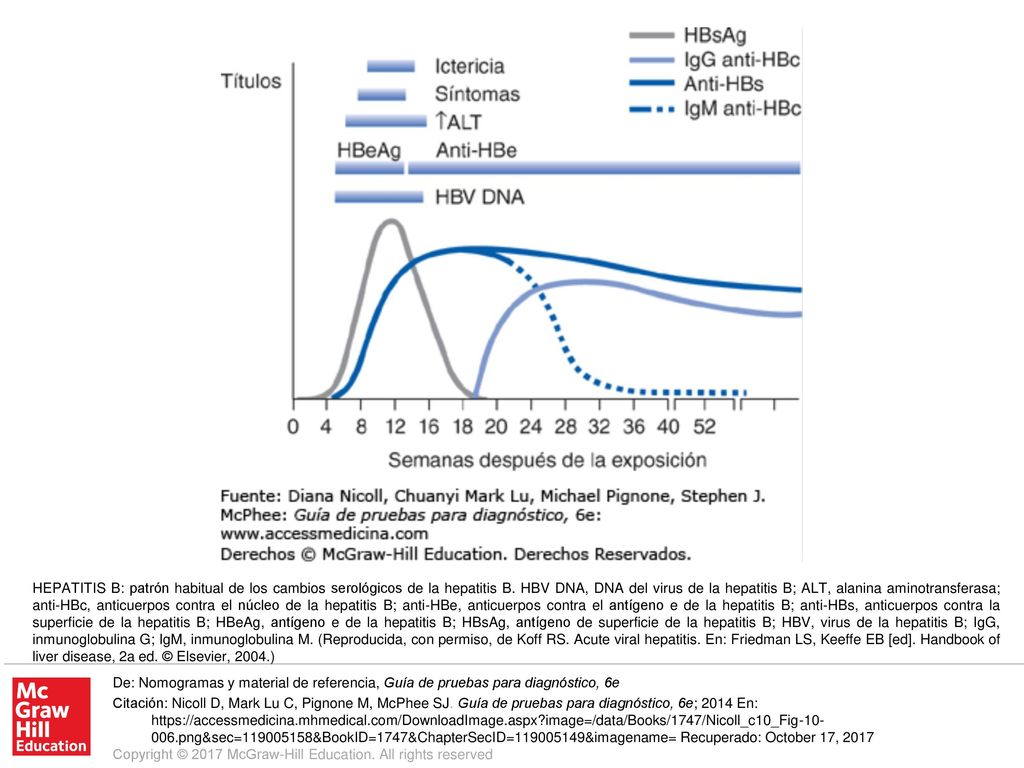 HEPATITIS B: patrón habitual de los cambios serológicos de la hepatitis B. HBV DNA, DNA del virus de la hepatitis B; ALT, alanina aminotransferasa; anti-HBc, anticuerpos contra el núcleo de la hepatitis B; anti-HBe, anticuerpos contra el antígeno e de la hepatitis B; anti-HBs, anticuerpos contra la superficie de la hepatitis B; HBeAg, antígeno e de la hepatitis B; HBsAg, antígeno de superficie de la hepatitis B; HBV, virus de la hepatitis B; IgG, inmunoglobulina G; IgM, inmunoglobulina M. (Reproducida, con permiso, de Koff RS. Acute viral hepatitis. En: Friedman LS, Keeffe EB [ed]. Handbook of liver disease, 2a ed. © Elsevier, 2004.)