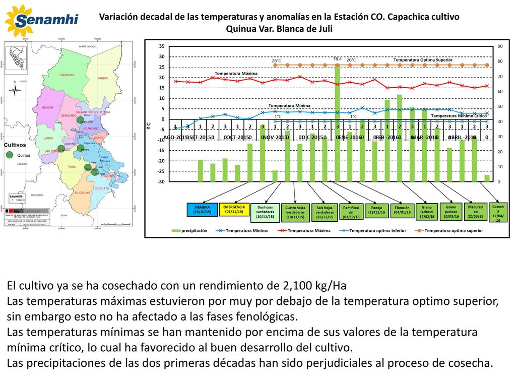 El cultivo ya se ha cosechado con un rendimiento de 2,100 kg/Ha