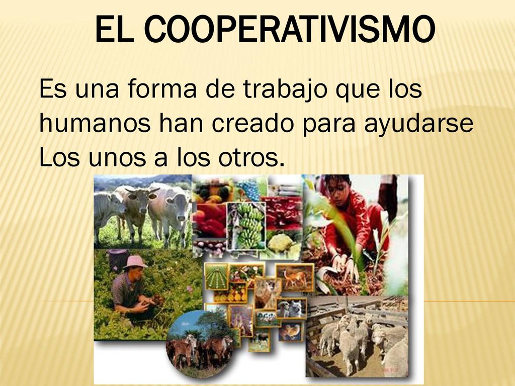 EL COOPERATIVISMO Es una forma de trabajo que los