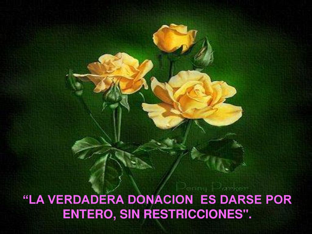 LA VERDADERA DONACION ES DARSE POR ENTERO, SIN RESTRICCIONES .