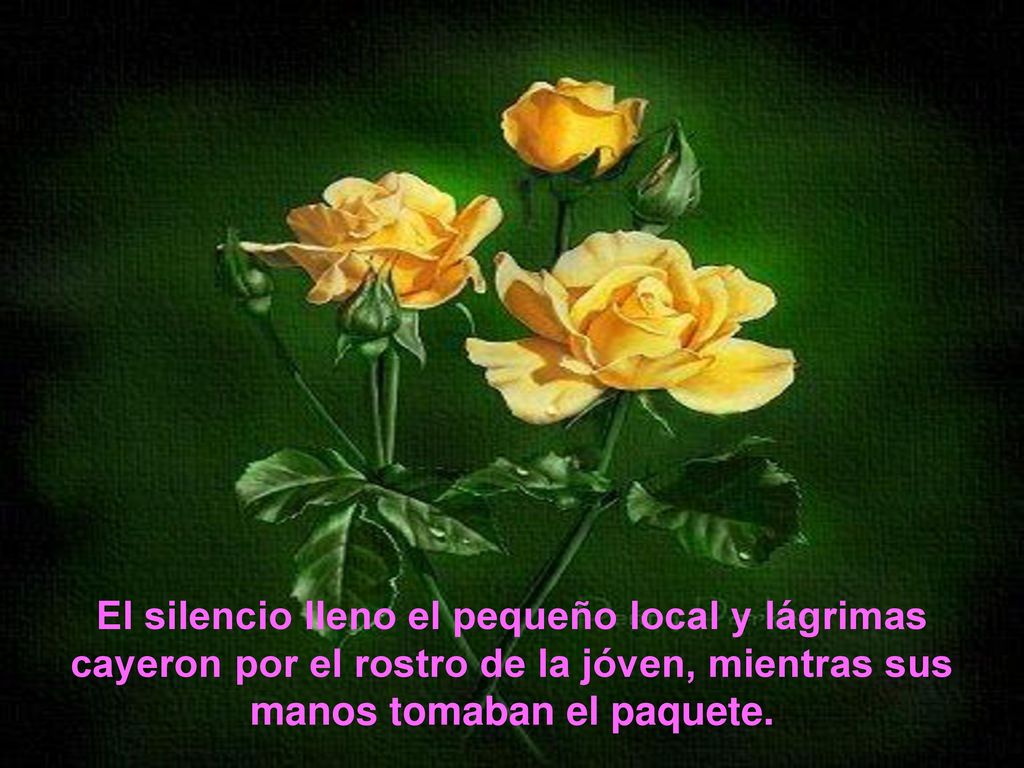 El silencio lleno el pequeño local y lágrimas cayeron por el rostro de la jóven, mientras sus manos tomaban el paquete.