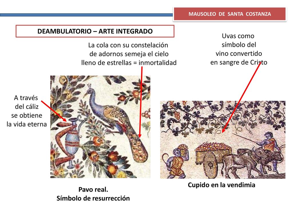 DEAMBULATORIO – ARTE INTEGRADO Uvas como símbolo del vino convertido