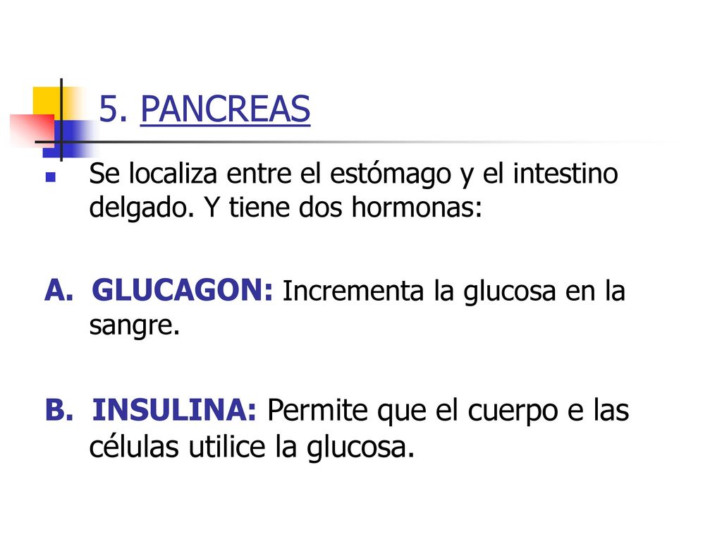 5. PANCREAS A. GLUCAGON: Incrementa la glucosa en la sangre.