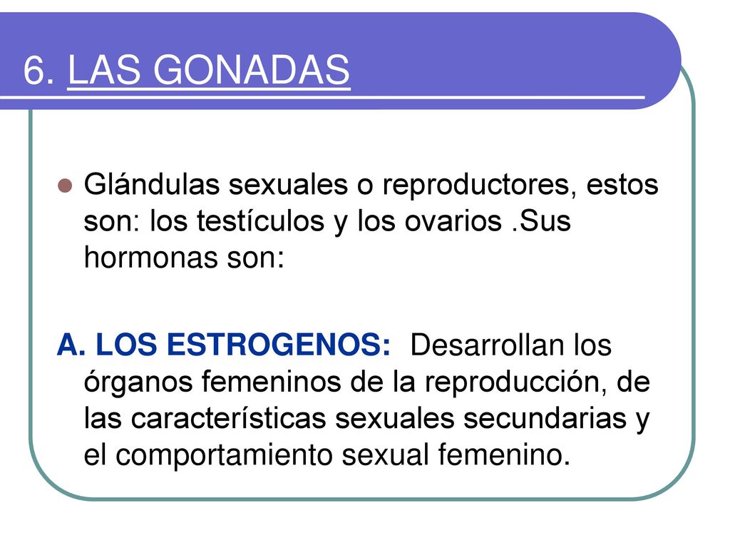 6. LAS GONADAS Glándulas sexuales o reproductores, estos son: los testículos y los ovarios .Sus hormonas son: