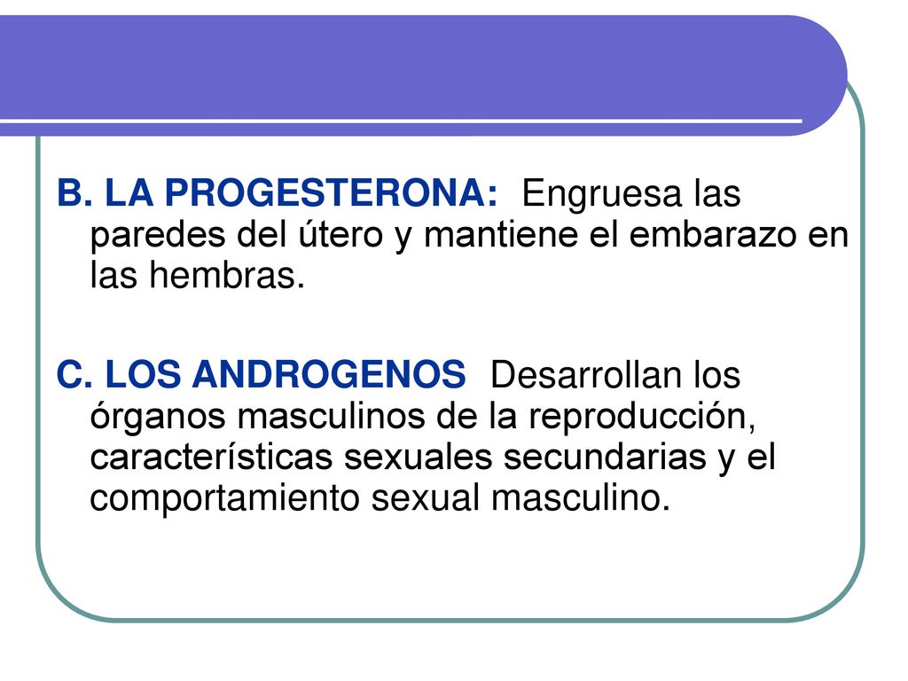 B. LA PROGESTERONA:: Engruesa las paredes del útero y mantiene el embarazo en las hembras.
