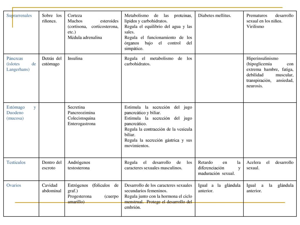 Suprarrenales Sobre los riñones. Corteza. Muchos esteroides (cortisona, corticosterona, etc.) Médula adrenalina.