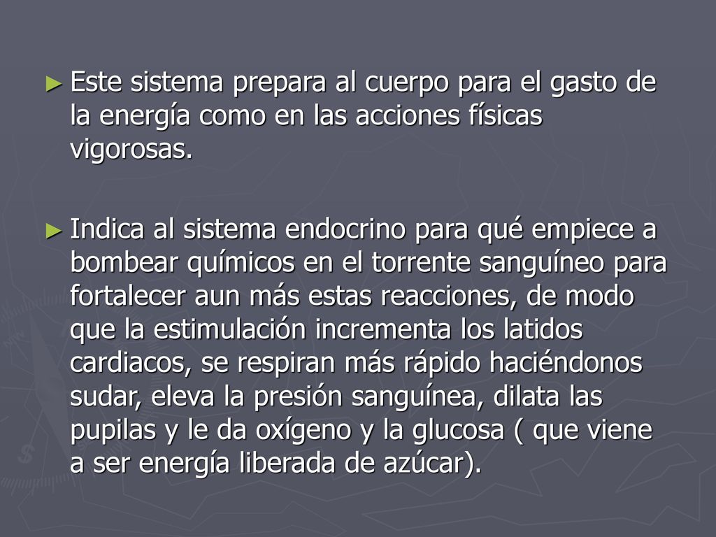Este sistema prepara al cuerpo para el gasto de la energía como en las acciones físicas vigorosas.