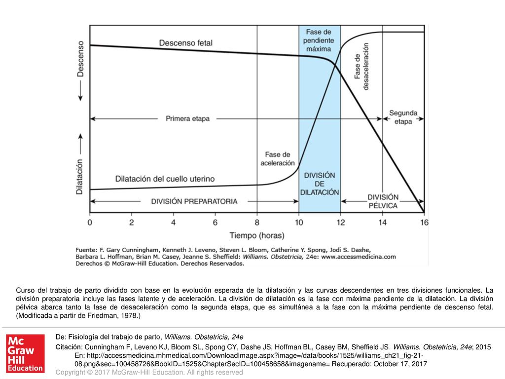 Curso del trabajo de parto dividido con base en la evolución esperada de la dilatación y las curvas descendentes en tres divisiones funcionales. La división preparatoria incluye las fases latente y de aceleración. La división de dilatación es la fase con máxima pendiente de la dilatación. La división pélvica abarca tanto la fase de desaceleración como la segunda etapa, que es simultánea a la fase con la máxima pendiente de descenso fetal. (Modificada a partir de Friedman, 1978.)