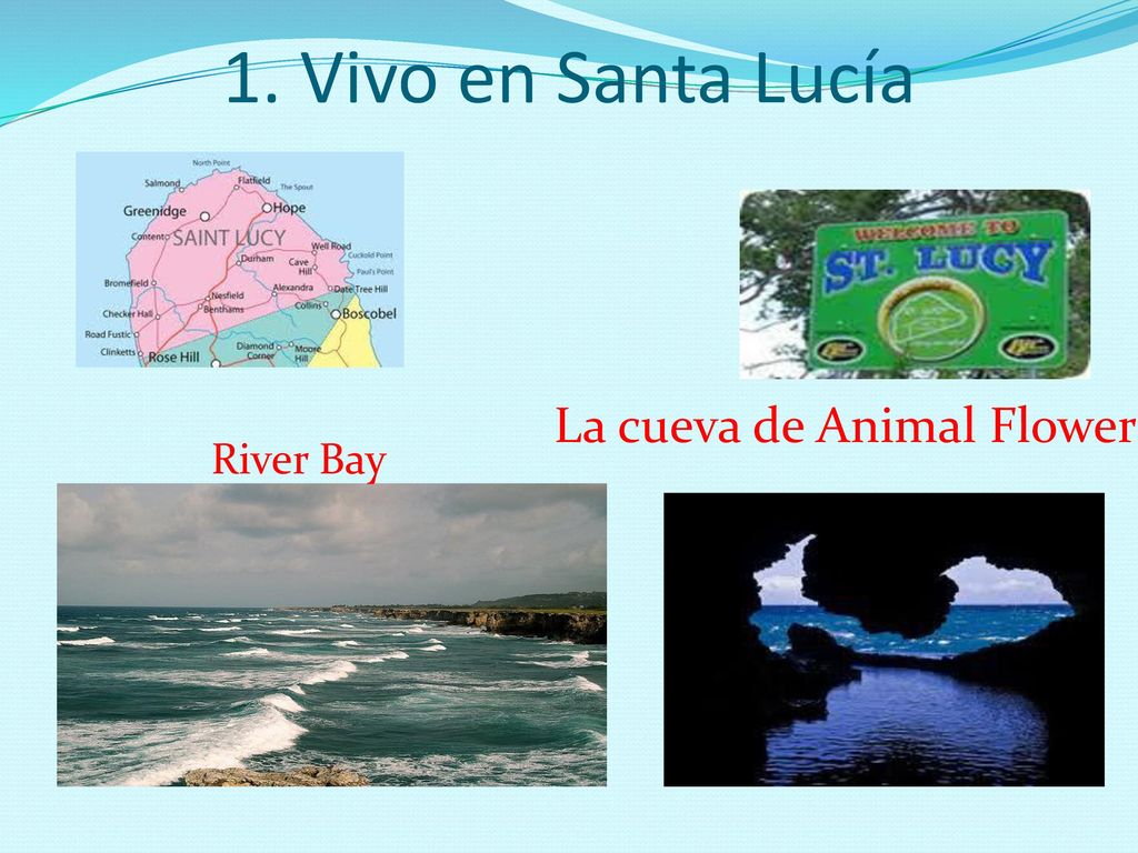 1. Vivo en Santa Lucía La cueva de Animal Flower River Bay