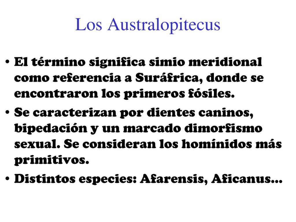 Los Australopitecus El término significa simio meridional como referencia a Suráfrica, donde se encontraron los primeros fósiles.