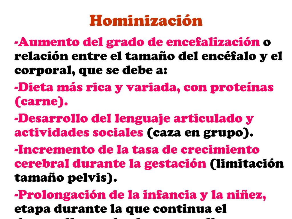 Hominización Aumento del grado de encefalización o relación entre el tamaño del encéfalo y el corporal, que se debe a: