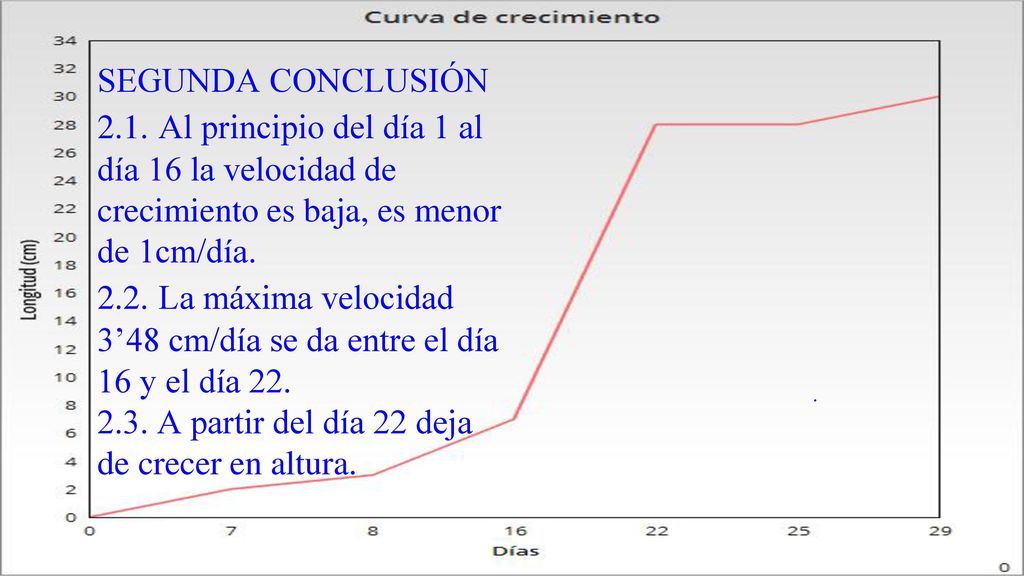 SEGUNDA CONCLUSIÓN 2.1. Al principio del día 1 al día 16 la velocidad de crecimiento es baja, es menor de 1cm/día La máxima velocidad 3’48 cm/día se da entre el día 16 y el día A partir del día 22 deja de crecer en altura.