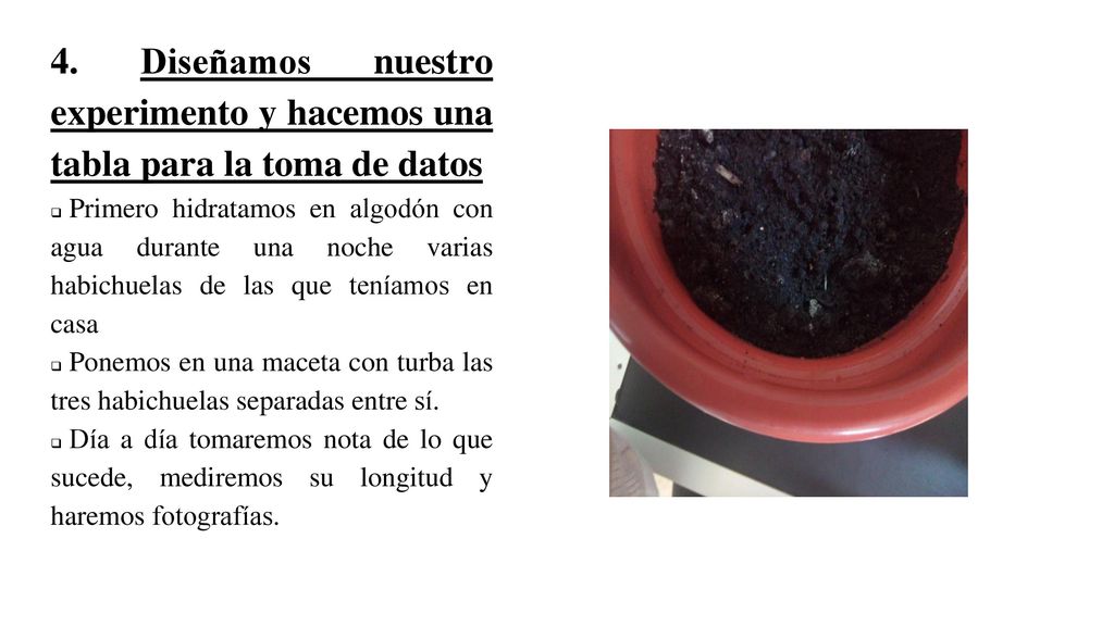 4. Diseñamos nuestro experimento y hacemos una tabla para la toma de datos