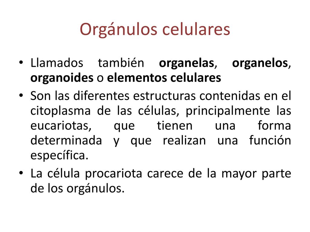 Orgánulos celulares Llamados también organelas, organelos, organoides o elementos celulares.