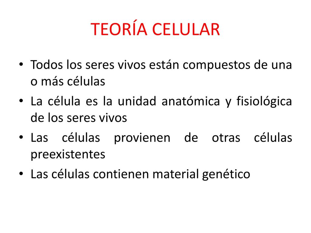 TEORÍA CELULAR Todos los seres vivos están compuestos de una o más células. La célula es la unidad anatómica y fisiológica de los seres vivos.