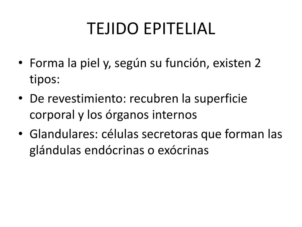 TEJIDO EPITELIAL Forma la piel y, según su función, existen 2 tipos:
