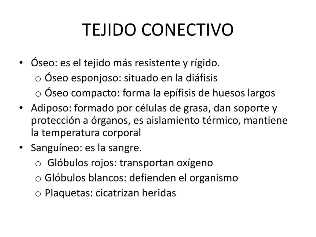 TEJIDO CONECTIVO Óseo: es el tejido más resistente y rígido.