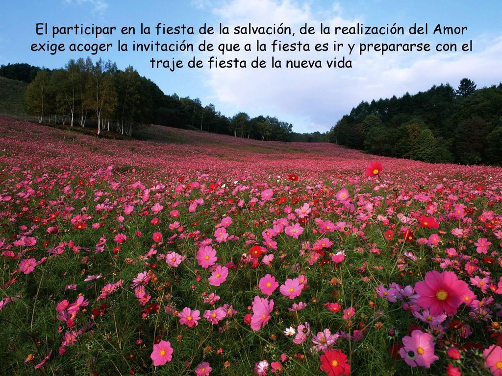 El participar en la fiesta de la salvación, de la realización del Amor exige acoger la invitación de que a la fiesta es ir y prepararse con el traje de fiesta de la nueva vida