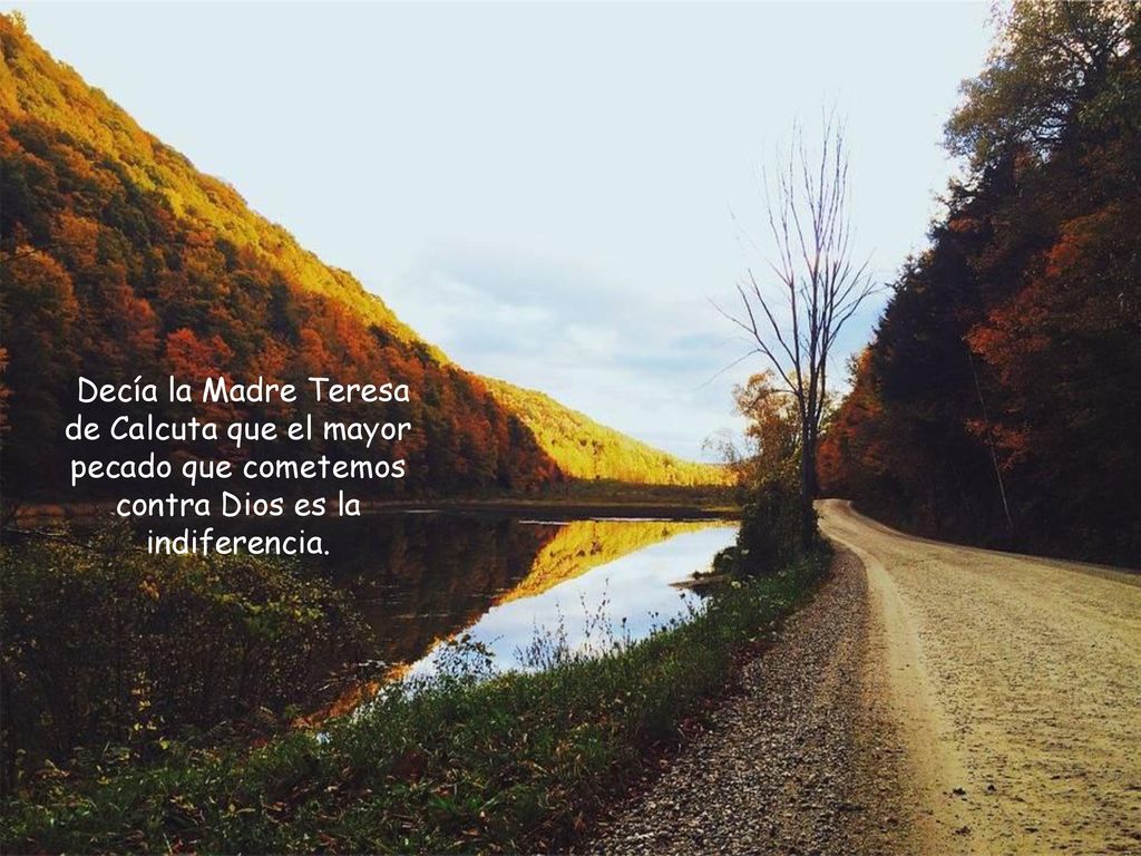 Decía la Madre Teresa de Calcuta que el mayor pecado que cometemos contra Dios es la indiferencia.