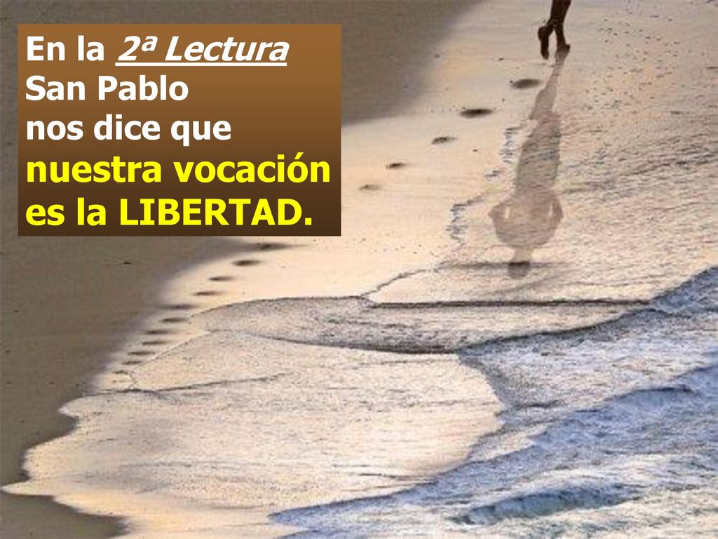 En la 2ª Lectura San Pablo nos dice que nuestra vocación es la LIBERTAD.