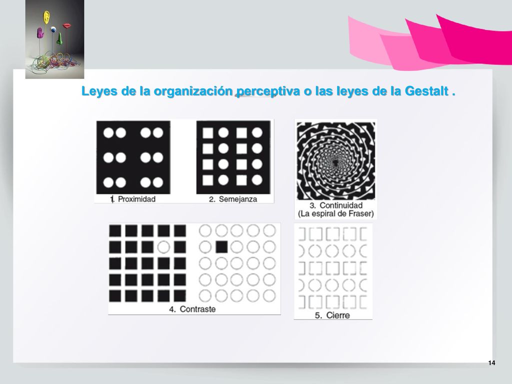Leyes de la organización perceptiva o las leyes de la Gestalt .
