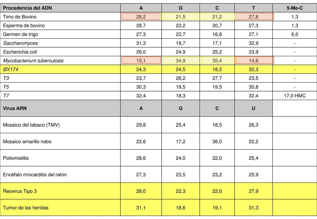 Procedencia del ADN A. G. C. T. 5-Me-C. Timo de Bovino. 28,2. 21,5. 21,2. 27,8. 1,3. Esperma de bovino.