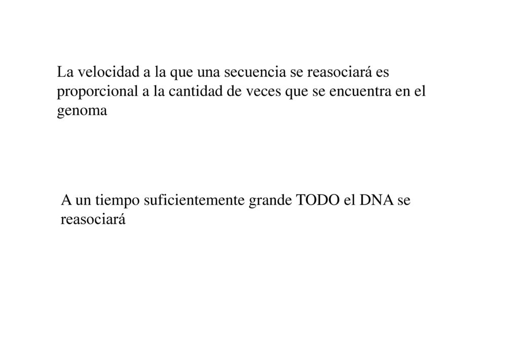 La velocidad a la que una secuencia se reasociará es proporcional a la cantidad de veces que se encuentra en el genoma