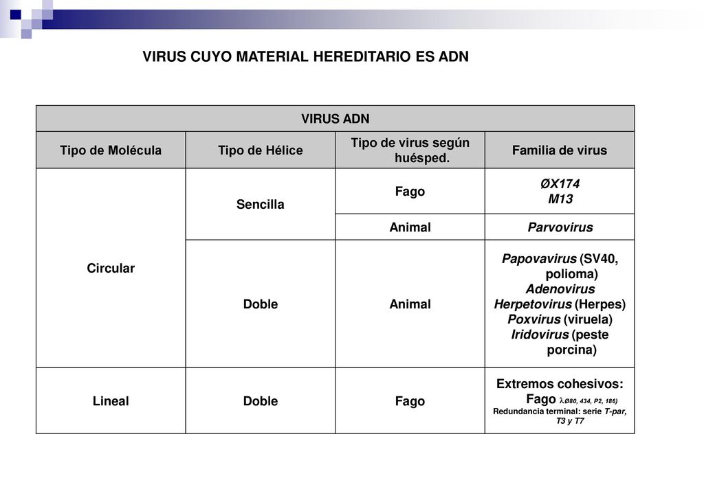 Tipo de virus según huésped. Iridovirus (peste porcina)