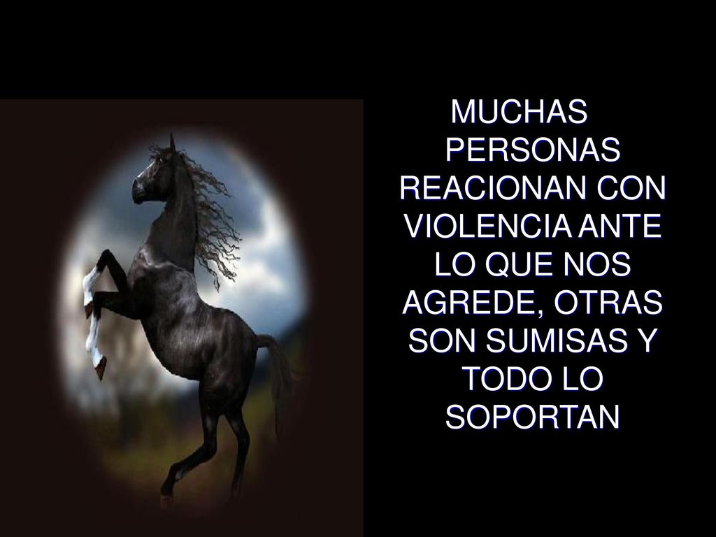 MUCHAS PERSONAS REACIONAN CON VIOLENCIA ANTE LO QUE NOS AGREDE, OTRAS SON SUMISAS Y TODO LO SOPORTAN