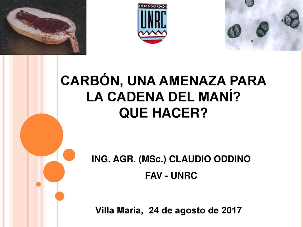 CARBÓN, UNA AMENAZA PARA LA CADENA DEL MANÍ QUE HACER