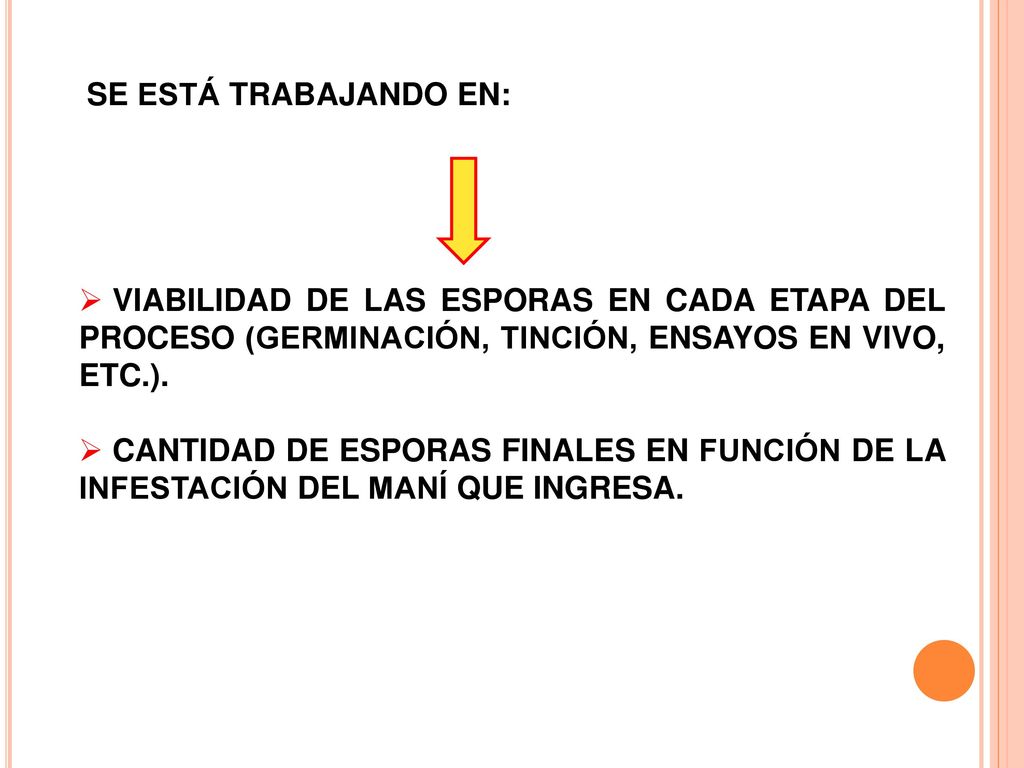 SE ESTÁ TRABAJANDO EN: VIABILIDAD DE LAS ESPORAS EN CADA ETAPA DEL PROCESO (GERMINACIÓN, TINCIÓN, ENSAYOS EN VIVO, ETC.).