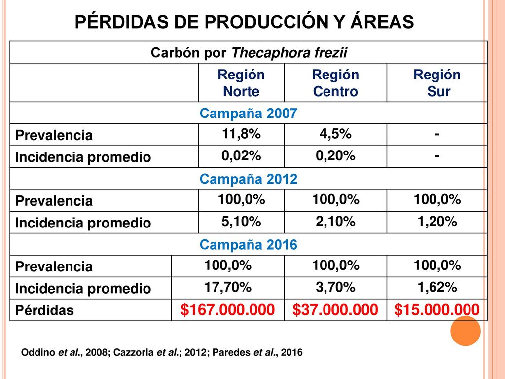 PÉRDIDAS DE PRODUCCIÓN Y ÁREAS Carbón por Thecaphora frezii