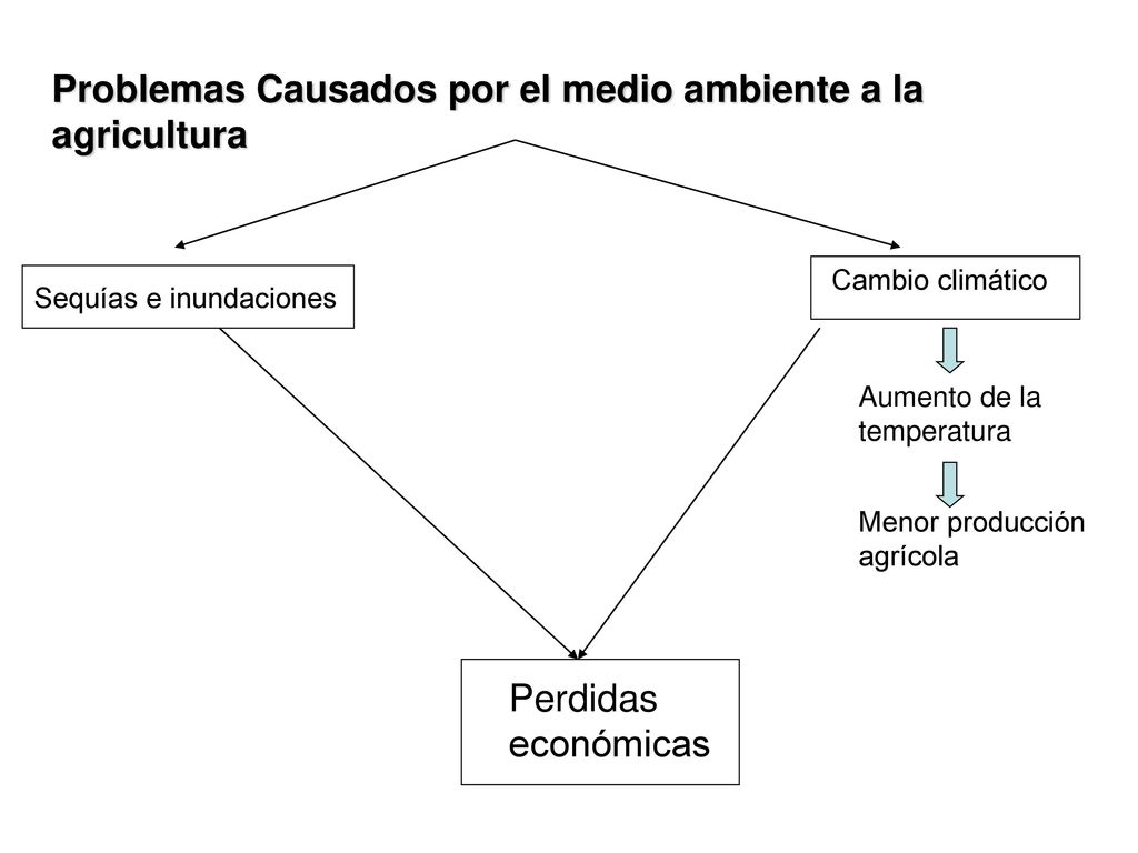 Problemas Causados por el medio ambiente a la agricultura