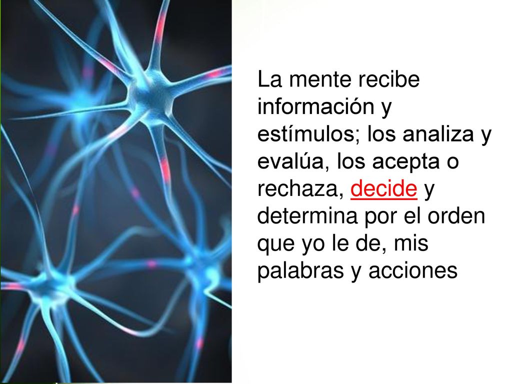 La mente recibe información y estímulos; los analiza y evalúa, los acepta o rechaza, decide y determina por el orden que yo le de, mis palabras y acciones