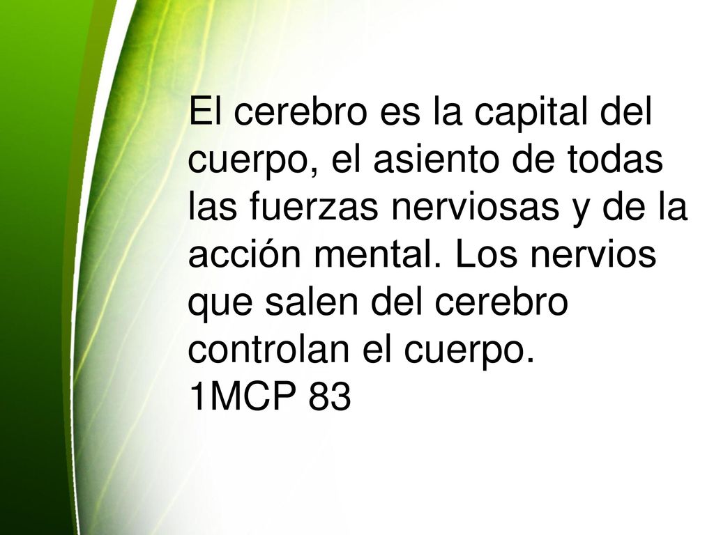 El cerebro es la capital del cuerpo, el asiento de todas las fuerzas nerviosas y de la acción mental. Los nervios que salen del cerebro controlan el cuerpo.