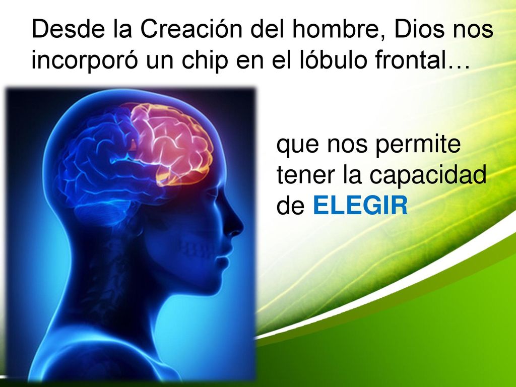 Desde la Creación del hombre, Dios nos incorporó un chip en el lóbulo frontal…