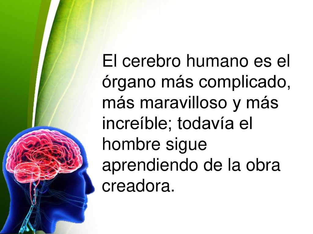 El cerebro humano es el órgano más complicado, más maravilloso y más increíble; todavía el hombre sigue aprendiendo de la obra creadora.