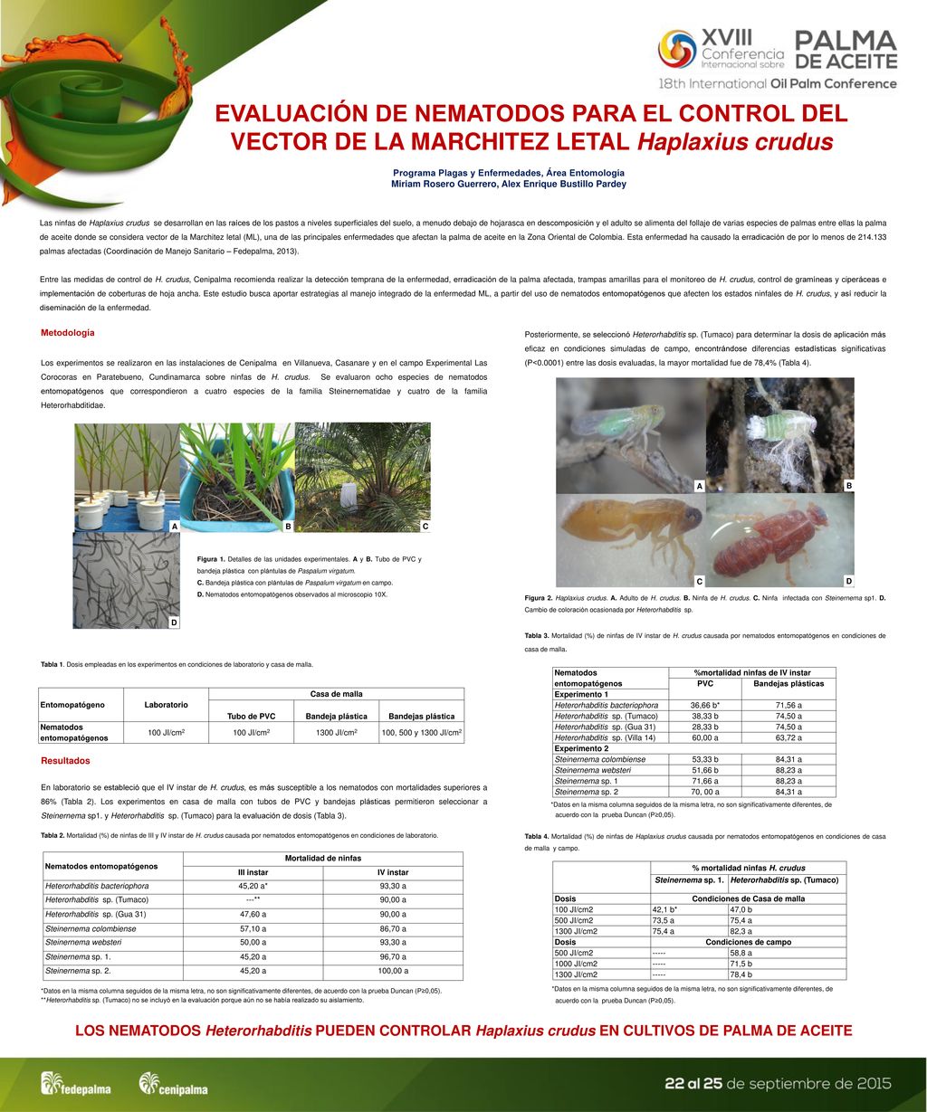 EVALUACIÓN DE NEMATODOS PARA EL CONTROL DEL VECTOR DE LA MARCHITEZ LETAL Haplaxius crudus
