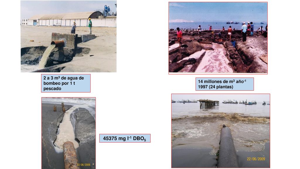 45375 mg l-1 DBO5 2 a 3 m3 de agua de bombeo por 1 t pescado