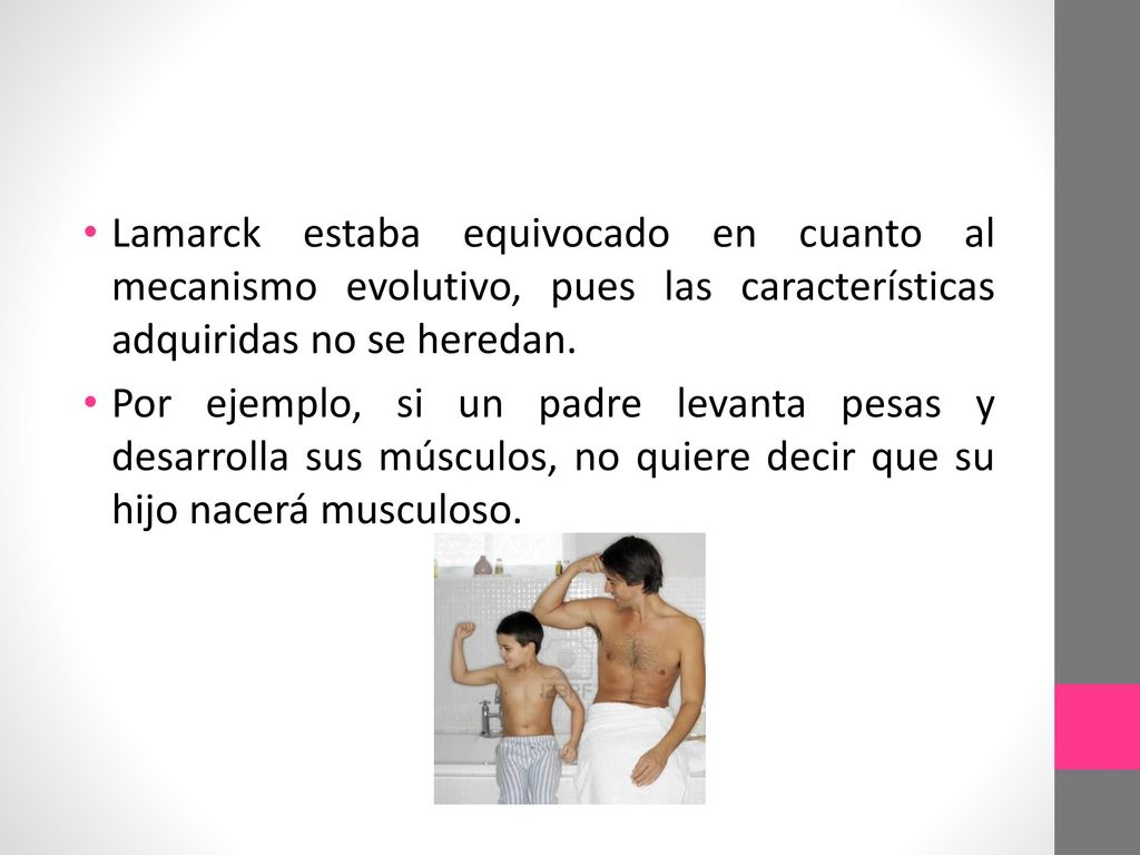 Lamarck estaba equivocado en cuanto al mecanismo evolutivo, pues las características adquiridas no se heredan.