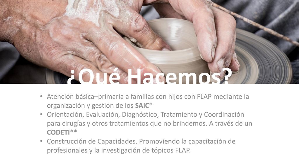 ¿Qué Hacemos Atención básica–primaria a familias con hijos con FLAP mediante la organización y gestión de los SAIC*