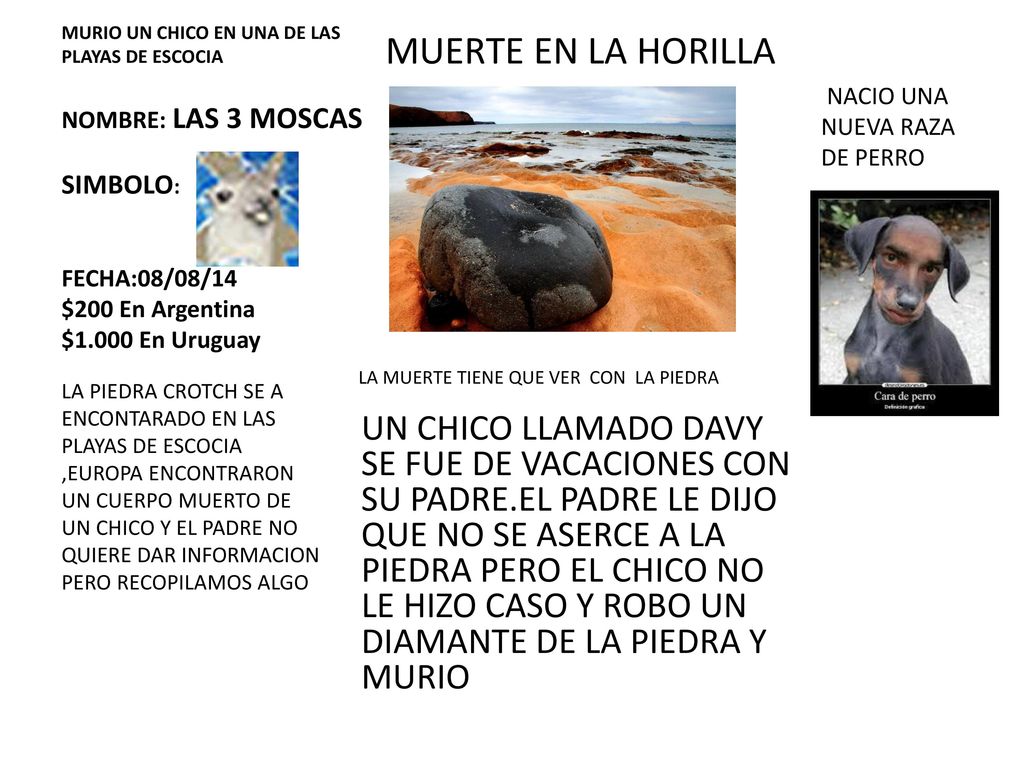 MUERTE EN LA HORILLA NACIO UNA. NUEVA RAZA. DE PERRO.