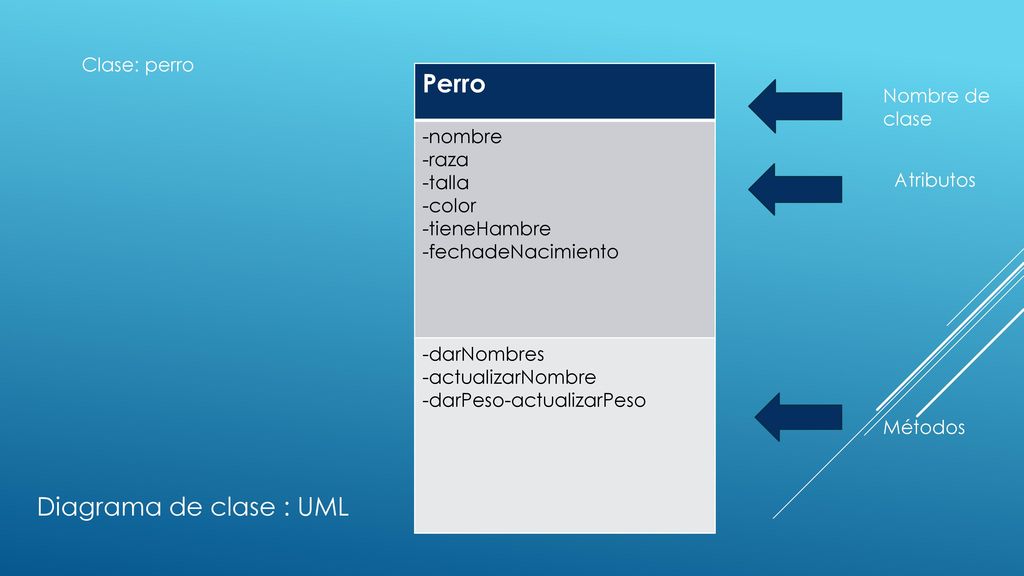 Perro Diagrama de clase : UML Clase: perro -nombre -raza -talla