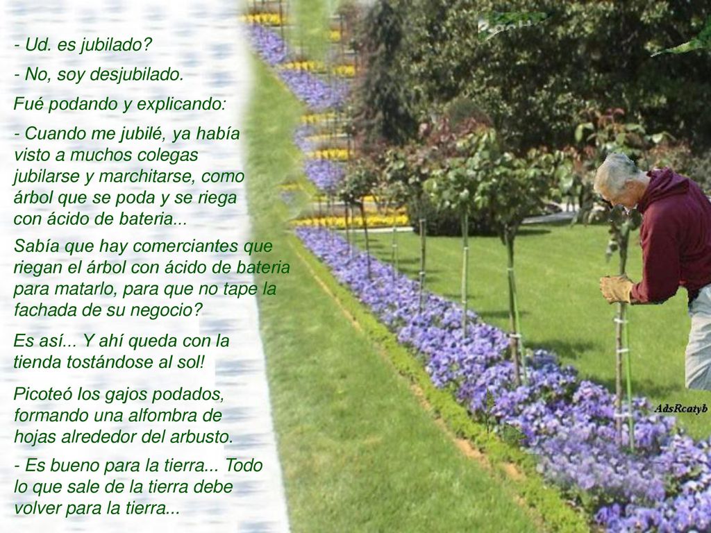 - Ud. es jubilado - No, soy desjubilado. Fué podando y explicando: