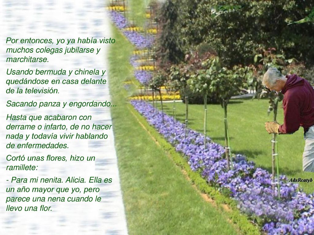Por entonces, yo ya había visto muchos colegas jubilarse y marchitarse.
