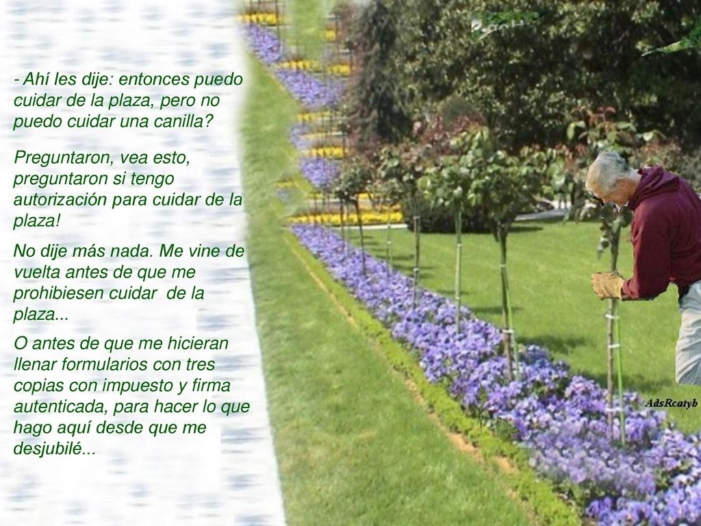 - Ahí les dije: entonces puedo cuidar de la plaza, pero no puedo cuidar una canilla