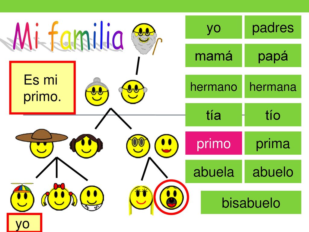 Mi familia yo padres mamá papá Es mi primo. tía tío primo prima abuela