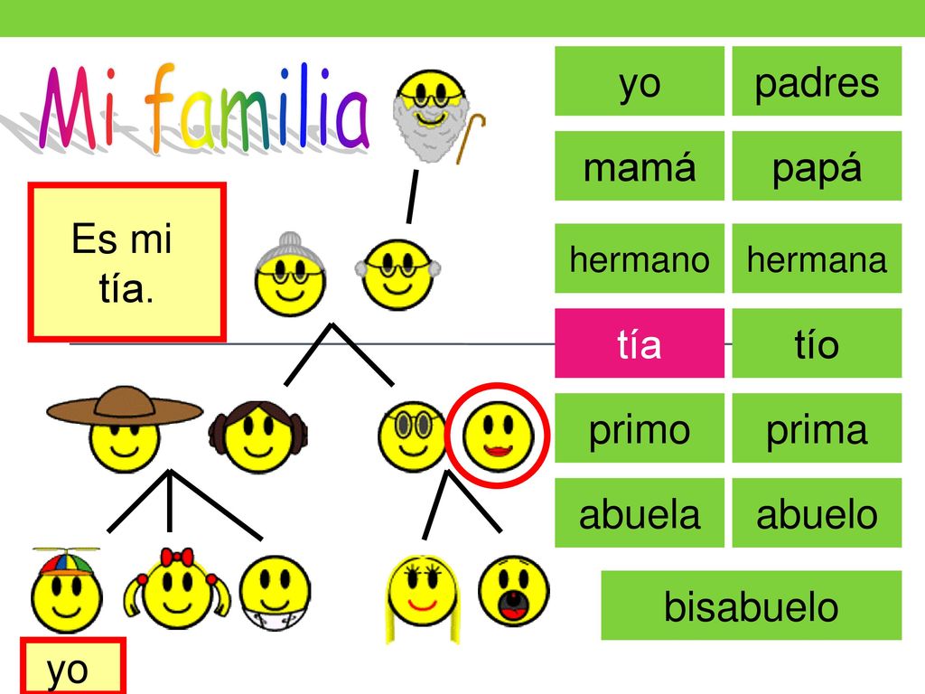 Mi familia yo padres mamá papá Es mi tía. tía tío primo prima abuela